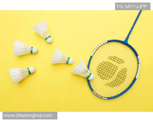 羽毛球运动员伤病康复训练的新理念与科学方法探索研究